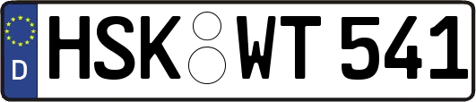 HSK-WT541