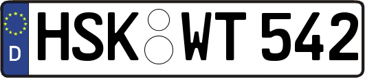 HSK-WT542