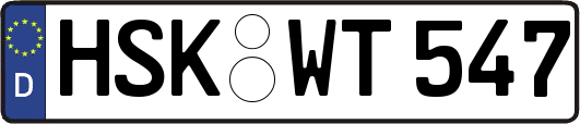 HSK-WT547