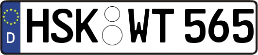 HSK-WT565