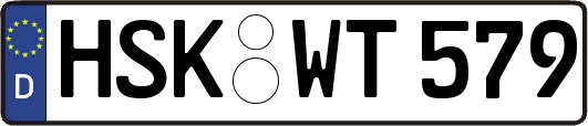 HSK-WT579