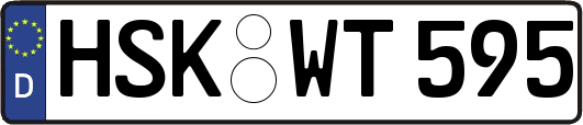HSK-WT595