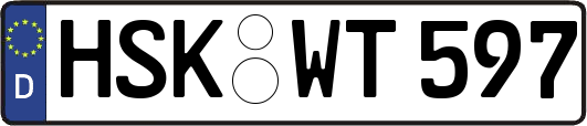HSK-WT597