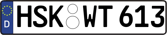 HSK-WT613