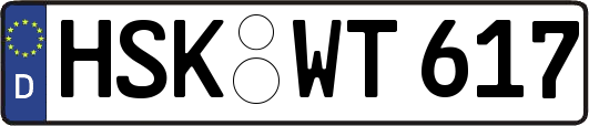 HSK-WT617