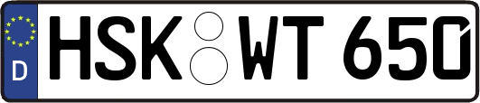 HSK-WT650