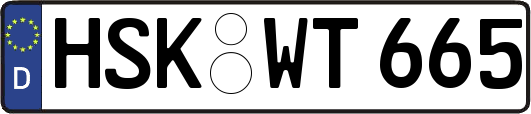 HSK-WT665