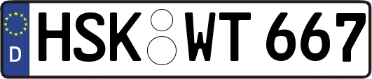 HSK-WT667