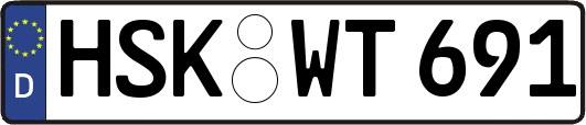 HSK-WT691
