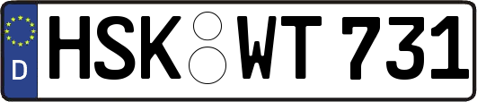 HSK-WT731