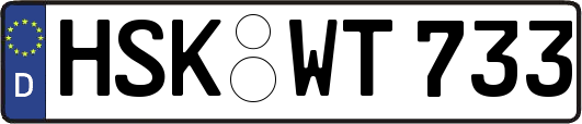 HSK-WT733