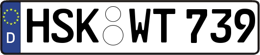 HSK-WT739