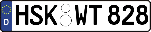 HSK-WT828