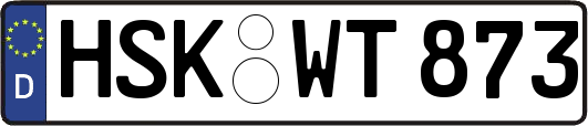 HSK-WT873
