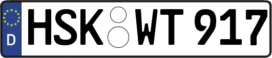 HSK-WT917