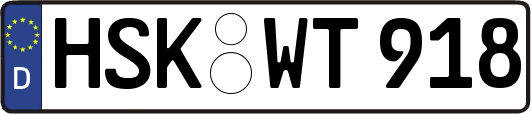 HSK-WT918