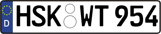 HSK-WT954