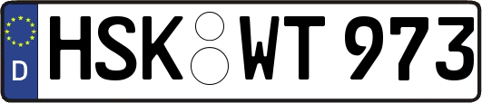 HSK-WT973