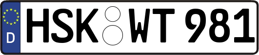 HSK-WT981