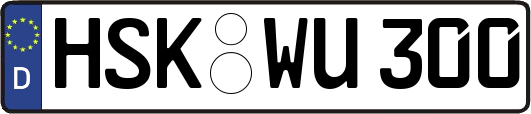 HSK-WU300