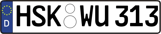 HSK-WU313