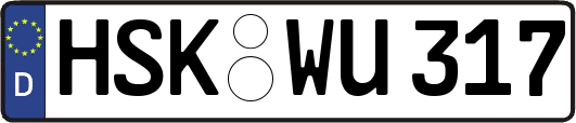 HSK-WU317