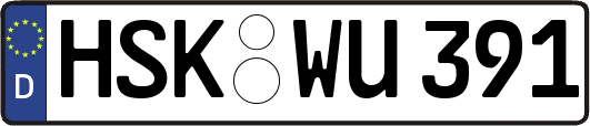 HSK-WU391