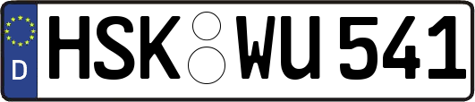 HSK-WU541