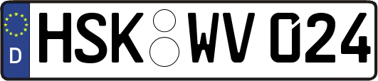 HSK-WV024