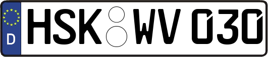 HSK-WV030