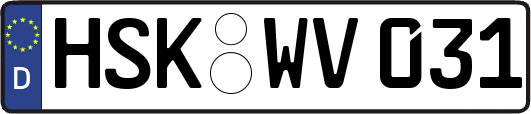 HSK-WV031
