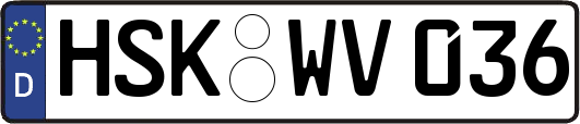 HSK-WV036