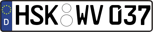 HSK-WV037