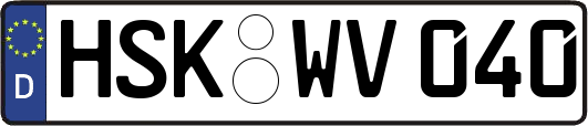 HSK-WV040
