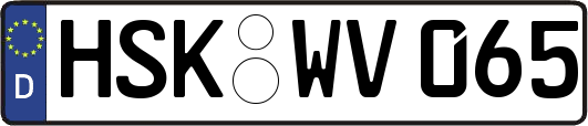 HSK-WV065