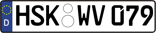 HSK-WV079