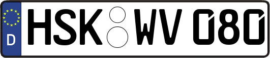 HSK-WV080