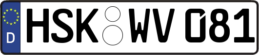HSK-WV081