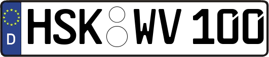 HSK-WV100