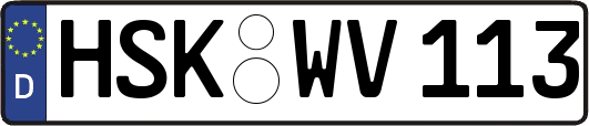 HSK-WV113