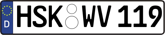 HSK-WV119