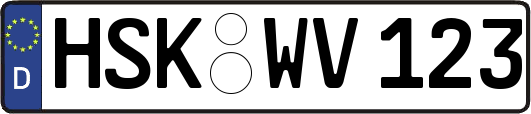 HSK-WV123