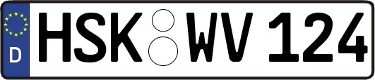 HSK-WV124