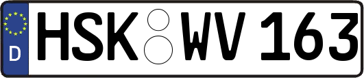 HSK-WV163