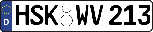 HSK-WV213