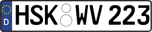 HSK-WV223