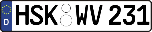 HSK-WV231