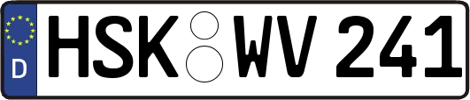 HSK-WV241