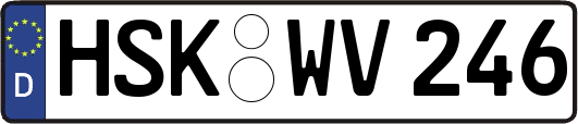 HSK-WV246