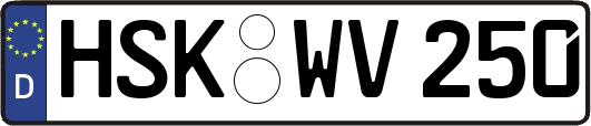 HSK-WV250